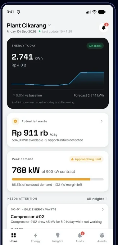 Aplikasi TNS Energy di ponsel: konsumsi hari ini, potensi pemborosan, dan beban puncak